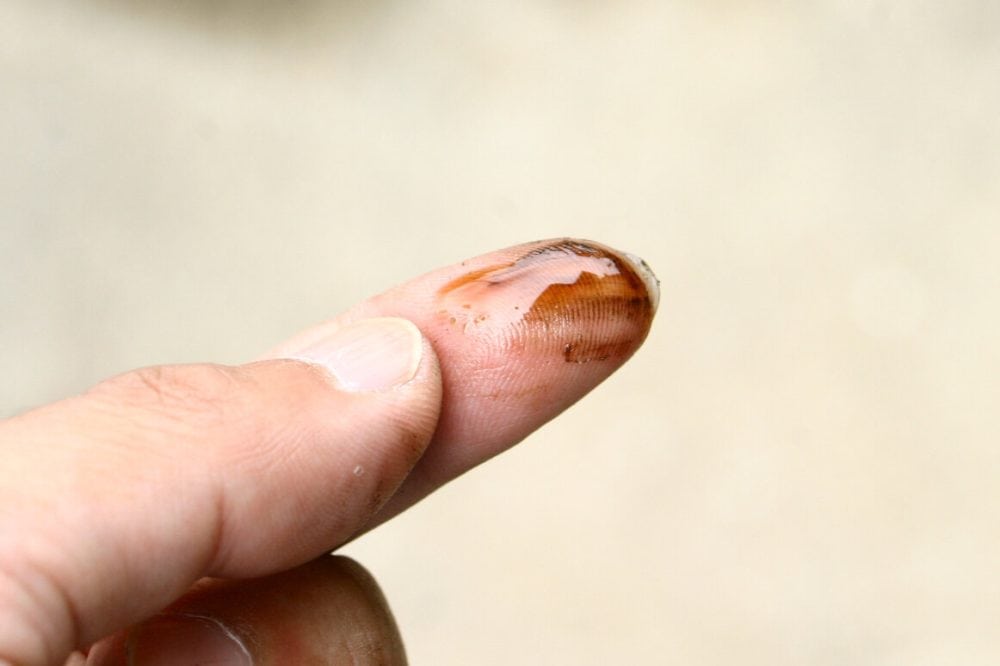 昭和の儀式的なものにオイルを指先に付けてこするというもの。粘度の低下やざらつきを確認するためとされていたが、もちろん感覚ではわからない。