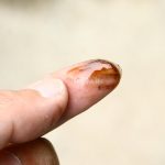 昭和の儀式的なものにオイルを指先に付けてこするというもの。粘度の低下やざらつきを確認するためとされていたが、もちろん感覚ではわからない。