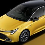 ブラックルーフとマスタードイエローの組み合わせた専用ボディカラー「ブラック×マスタード」を採用