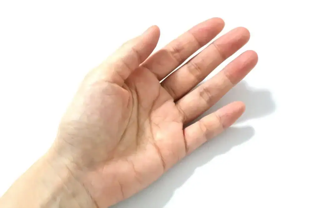 第2位 【ネッククーラーのNG】つけても涼しくない、は“冷やす場所”が違った!?医師が教える体を最効率で冷やす「血管の狙い方」と冷却アイテムの正しい使い方