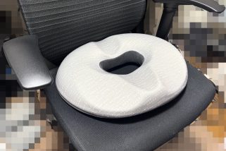 「デスクワーカーのお尻と腰の救世主」長距離ドライブにも最高かも…ニトリで1990円の“高反発クッション”がもう手放せないレベルでイイ！【体験レポート】
