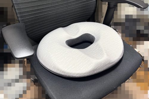 「デスクワーカーのお尻と腰の救世主」長距離ドライブにも最高かも…ニトリで1990円の“高反発クッション”がもう手放せないレベルでイイ！【体験レポート】