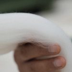 厳密な生産管理の下で生み出される「H1-TEX」