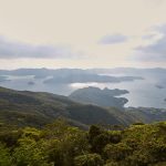 奄美大島は、2021年に徳之島、沖縄島北部、西表島とともに世界自然遺産に登録