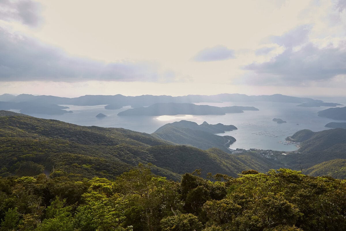 奄美大島は、2021年に徳之島、沖縄島北部、西表島とともに世界自然遺産に登録