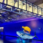 ホテル浦島、約90mの「うみのトンネル」