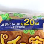 本家パイの実の約20倍サイズ
