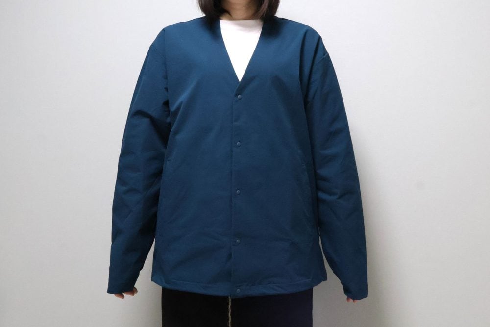 着用してみました