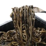 魚介の美味しさが凝縮されている！