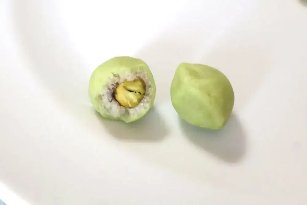 第3位 【ドンキの隠れ名品】1400円でも買い！“大容量”ピスタチオスナックを実食レポ。「殻なし＆甘くない」がクセになる！