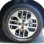 第2位 【日本の軽を超えた!?】車中泊もこなすBYDの新型軽EV「ラッコ」