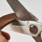新しい進化の可能性