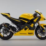 ミドルクラスのスポーツモデルがベース。タイガーイエローベースのボディにブラックのストライプが映える