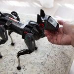 愛玩用の「Sirius（シリウス）」と触れ合ってきました