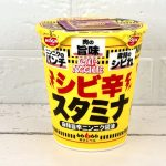 日清食品 カップヌードル シビ辛スタミナ ビッグ