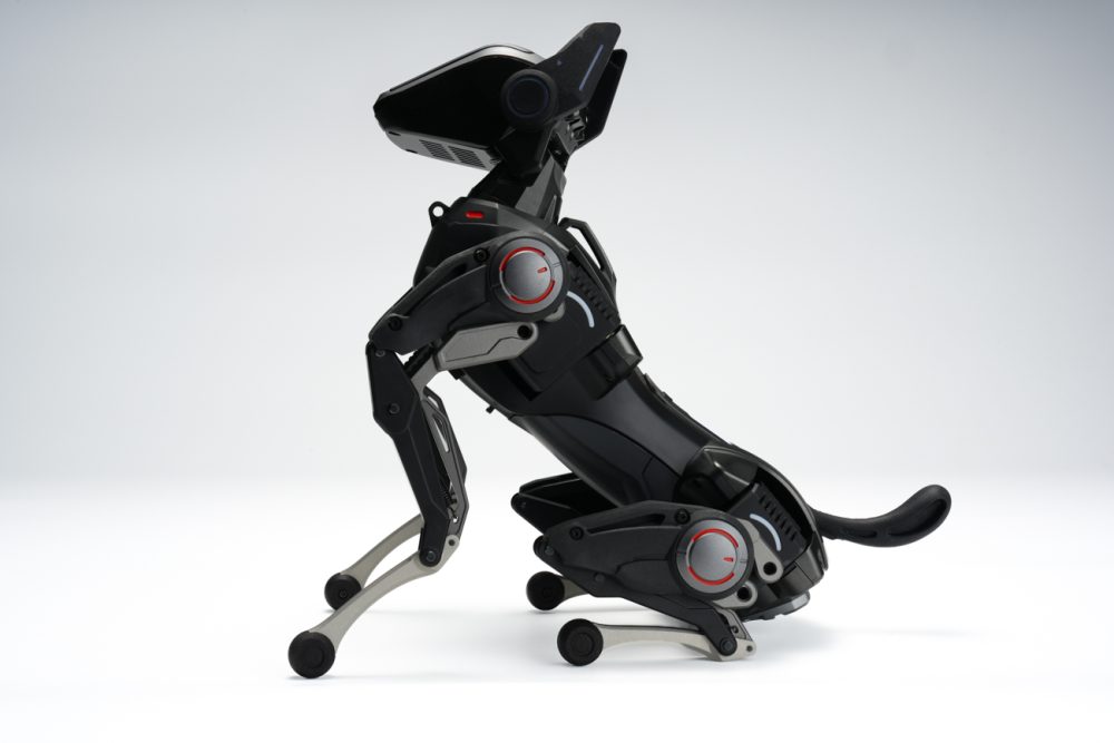 小さな驚きや思わず笑ってしまうような瞬間が訪れるのだから、ロボットであることを忘れそうになります