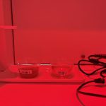 官能評価室を構成するすべての要素が、テイスティングに集中できるように作られている