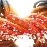 ヒートテックより暖かい