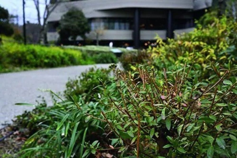 第1位　【予算30万～の一生モノカメラ】フルサイズなのにコンパクト！ニコン＆ソニーの「ミラーレス一眼」傑作2選をプロが徹底解説