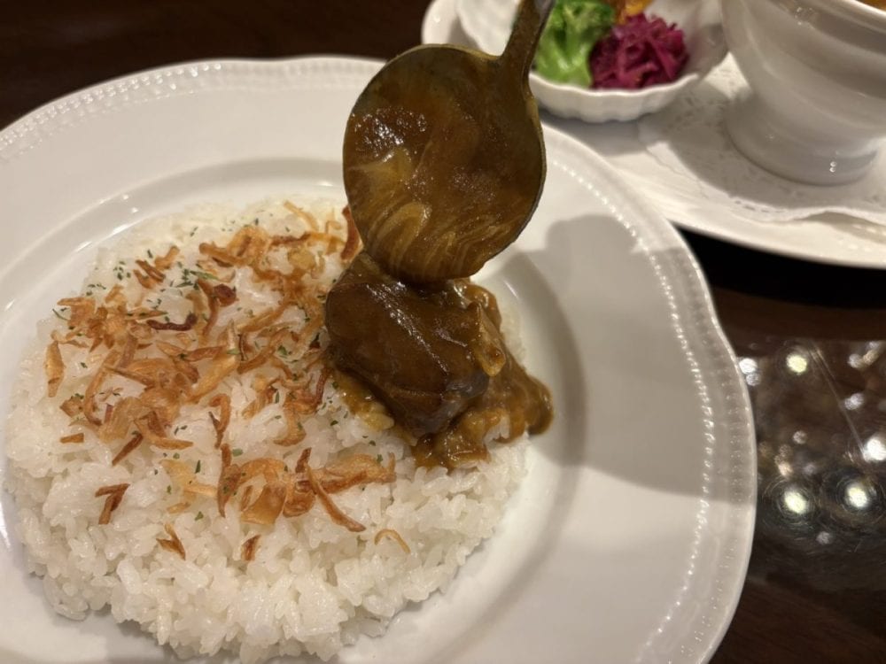 カレーソースをライスにかければ、香ばしいフライドオニオンとの調和を楽しむことができる