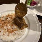 カレーソースをライスにかければ、香ばしいフライドオニオンとの調和を楽しむことができる