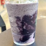 ブラックベリーチョコレートソースとブルーベリーヨーグルトの組み合わせ。濃