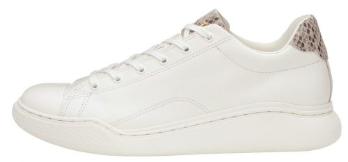 ALL STAR COUPE COURBE POINTPYTHON OX