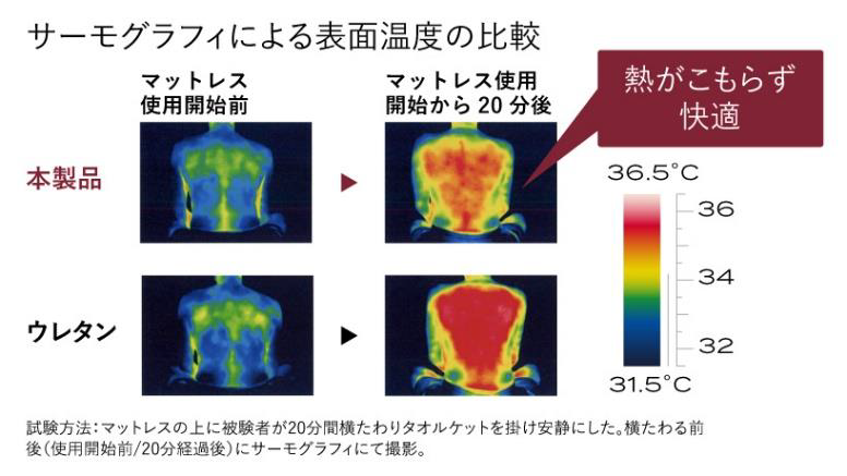 サーモグラフィによる表面温度を比較