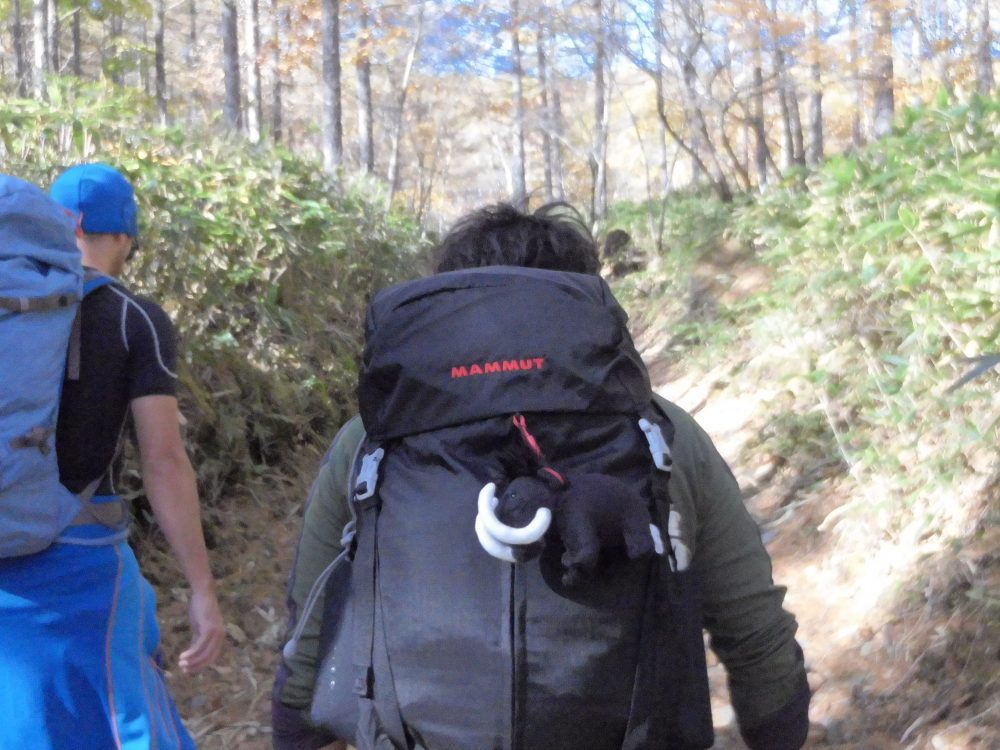 【体験レポート】八ヶ岳、初めての登山はマムートと一緒に（１）
