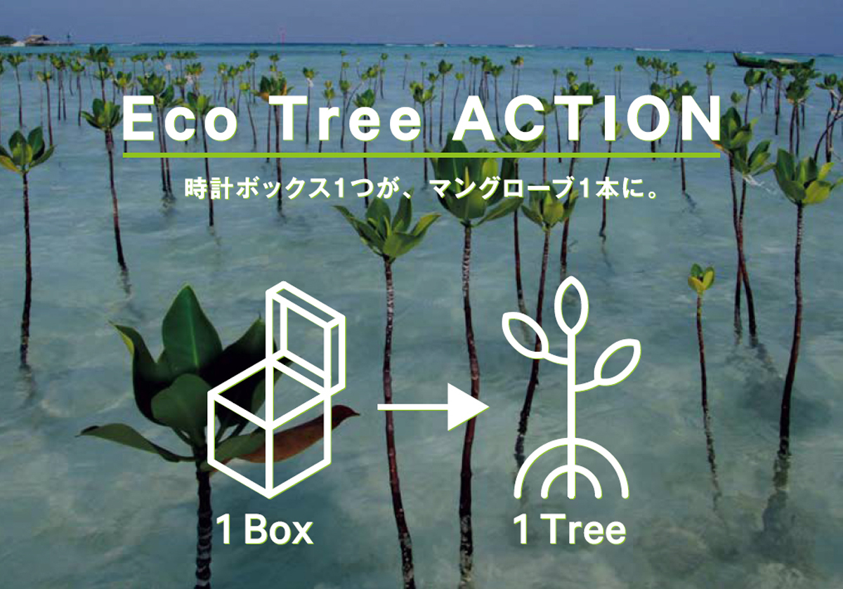 『Eco Tree ACTION』でマングローブの苗1本を寄付