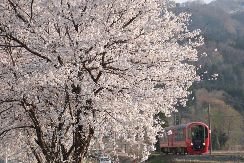 この春にお勧めしたい観光スポットはズバリ「新潟県の鉄道旅」だ