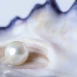 天然真珠由来のタンパク質*2を加水分解して生まれた補修成分「加水分解パール」も配合されている