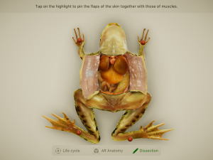froggipedia画面