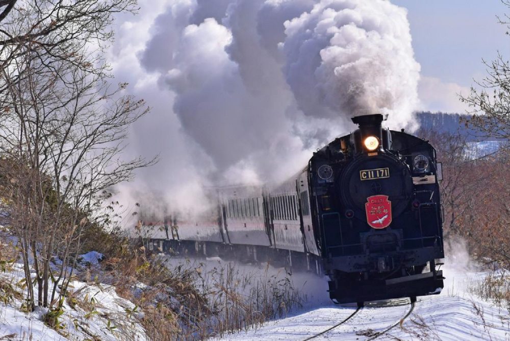 【1位】「鉄道ファンが本気で選んだ」一度は乗りたい！全国“観光列車”ランキング13選