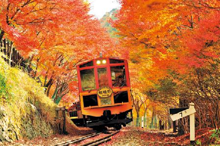 京都府：嵯峨野観光鉄道（トロッコ亀岡～トロッコ嵯峨）／秋はもみじ観光で賑わいます。