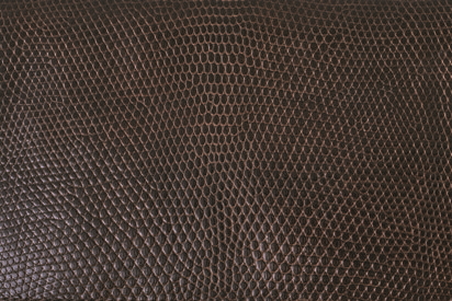 【リザード（リングマークトカゲ）】　独特の鱗模様が美しい。特徴的な輪模様を脱色し、凹凸のある鱗をグレージングしてツヤを出す仕上げが人気