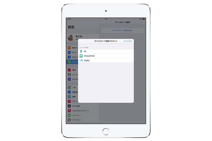Apple iPad Pro