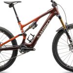 S-Works Turbo Levo SL：Gloss Rusted Red / Redwood / White Mountains